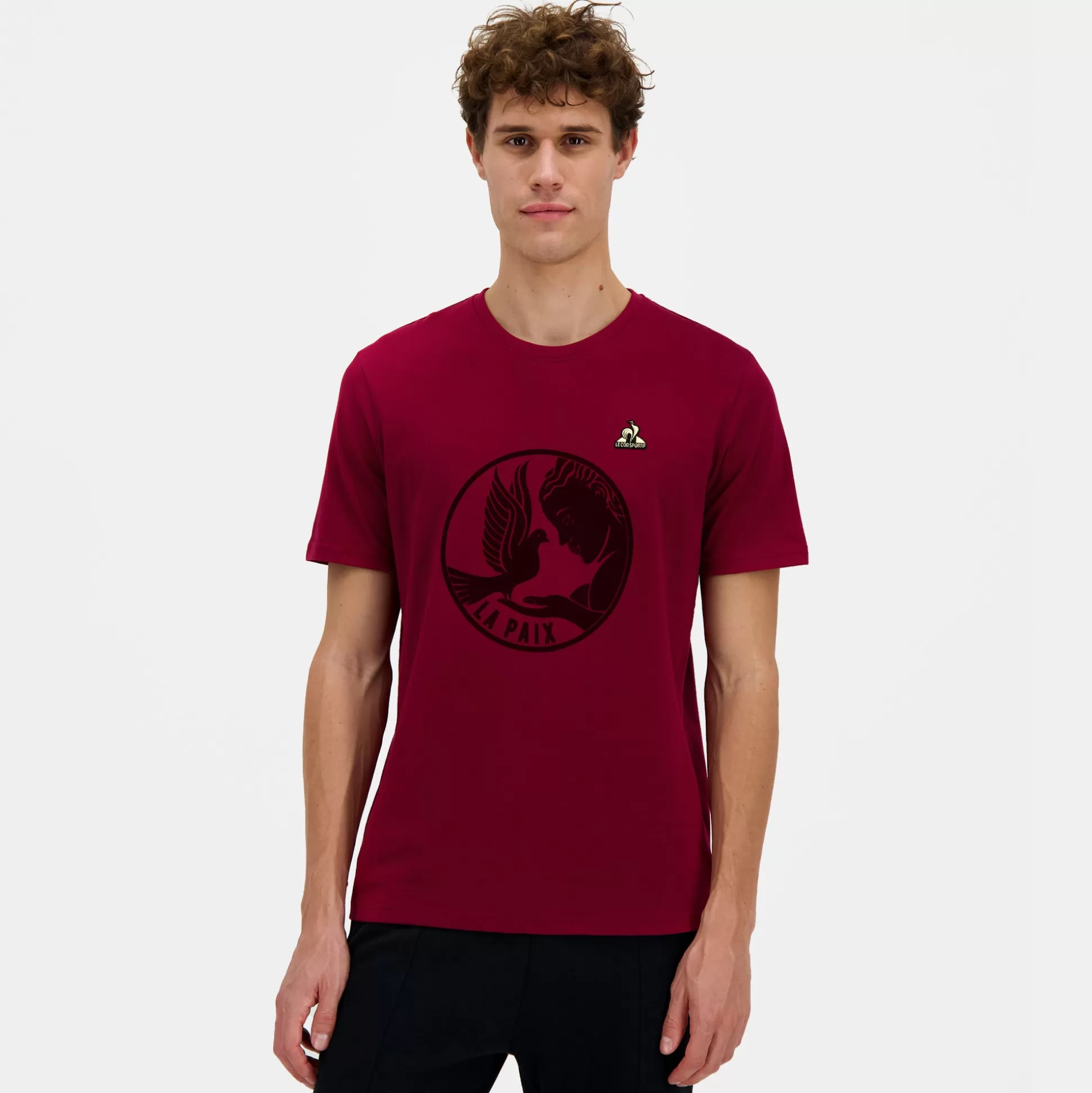 Homme Le Coq Sportif T-shirt Homme